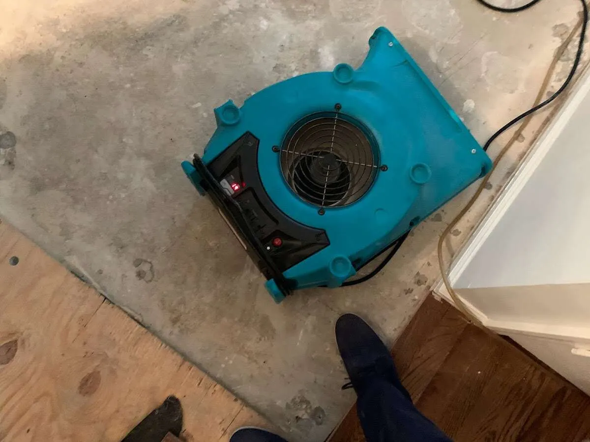 Air mover drying subfloor during Commercial Water Damage Restoration in Port Chester